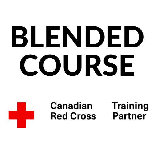 Red cross standard first aid blended