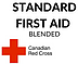 Red cross standard first aid blended